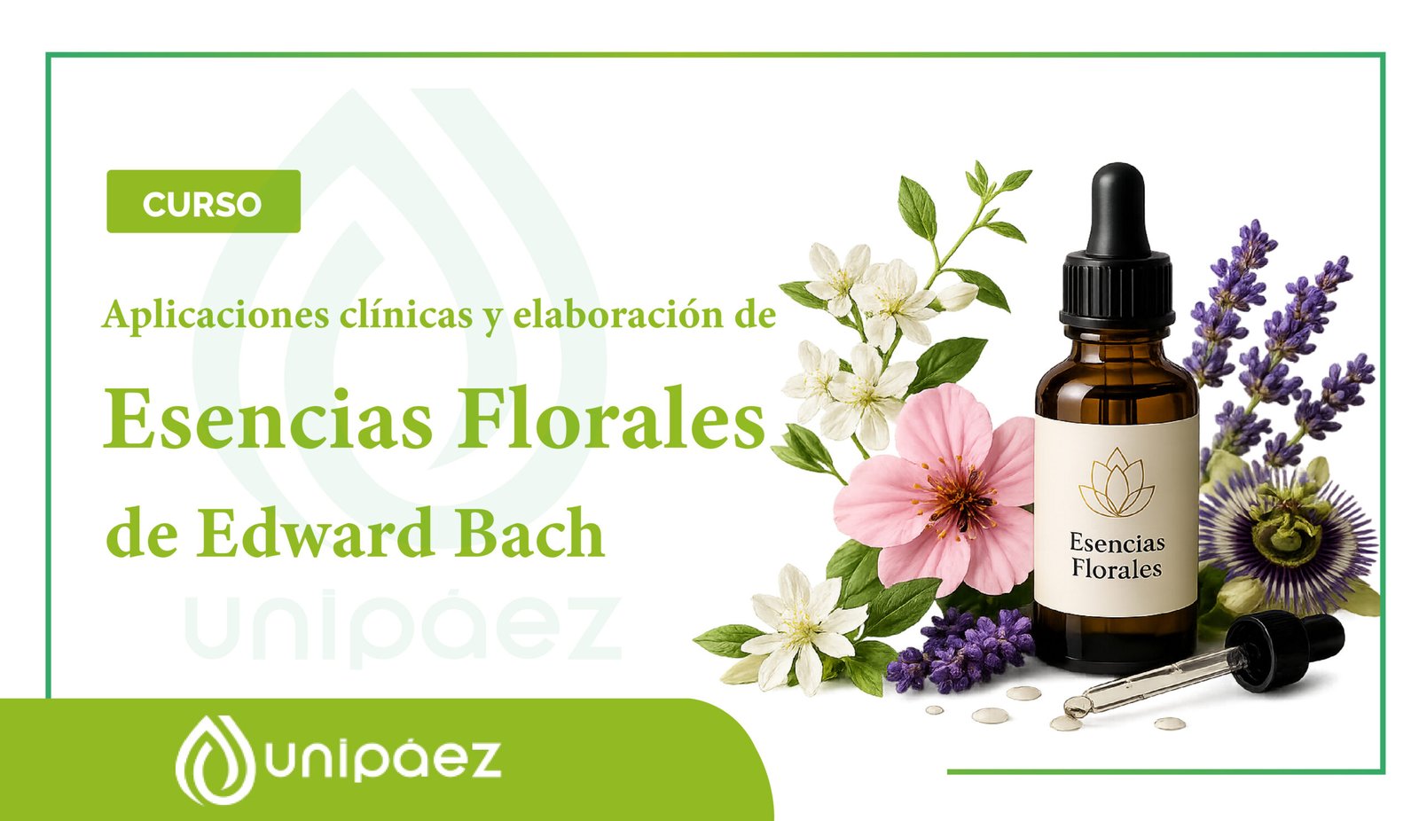 Curso Aplicaciones clínicas y elaboración de esencias florales de Edward de Bach