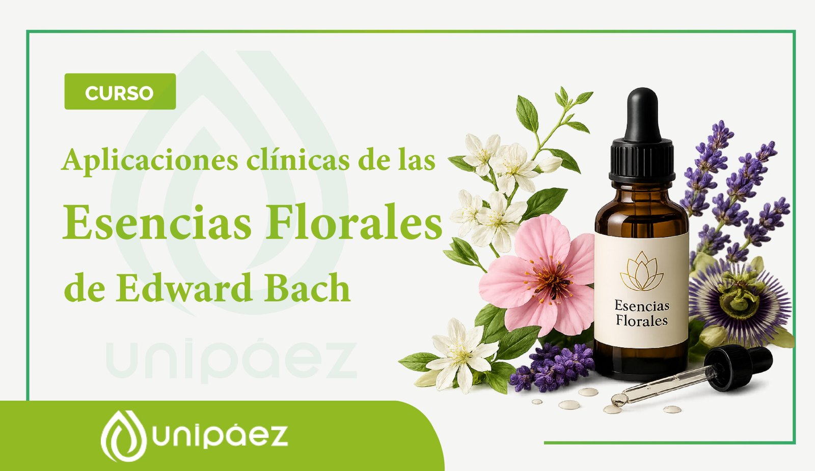 Curso Aplicaciones clínicas y elaboración de Esencias Florales de Bach
