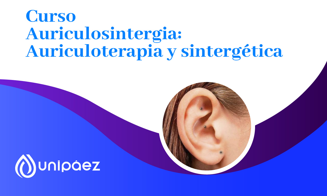 Auriculosintergia: Auriculoterapia y Sintergética