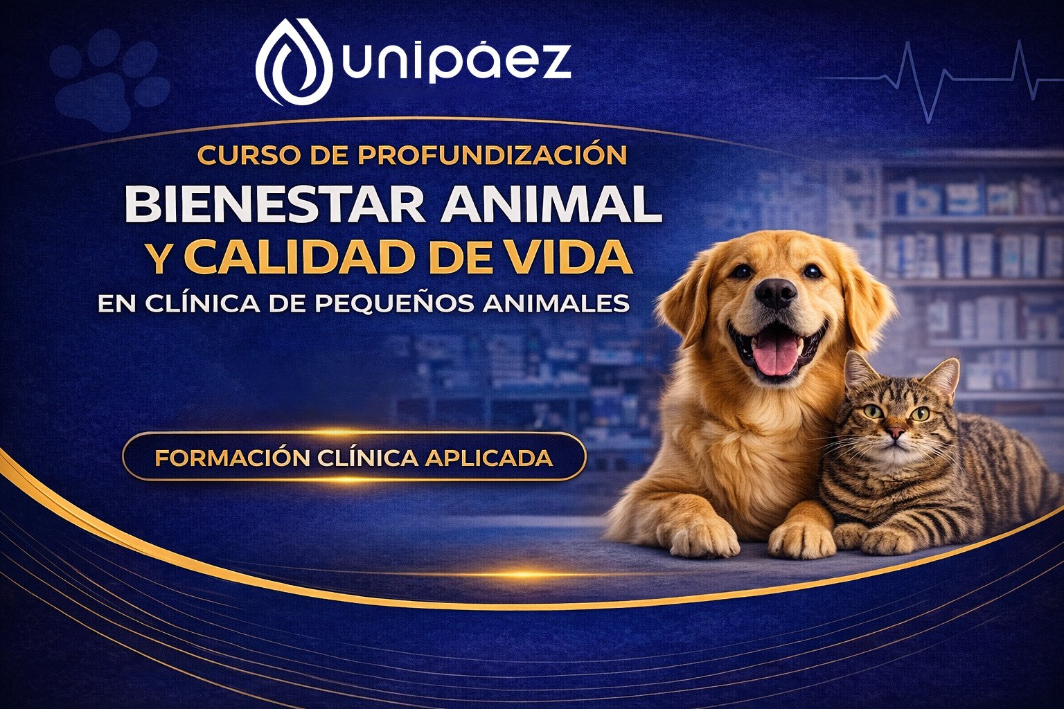 Curso profundización bienestar animal y calidad de vida en clínica de pequeños animales