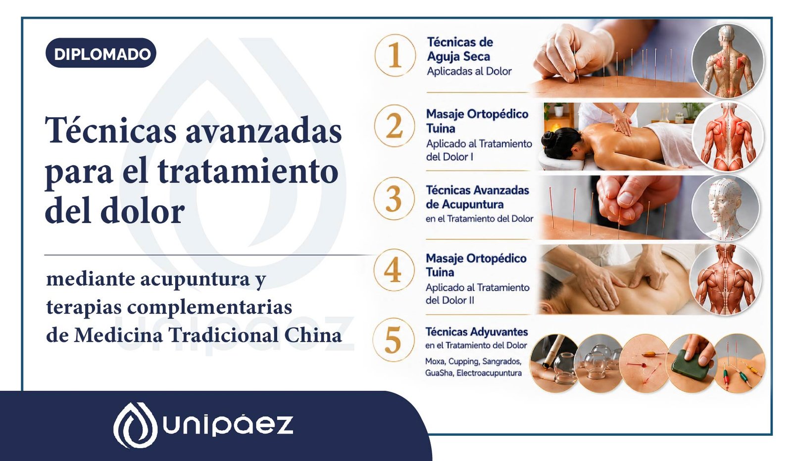 Diplomado en Técnicas Avanzadas para el Tratamiento del Dolor mediante Acupuntura y Terapias Complementarias de Medicina Tradicional China