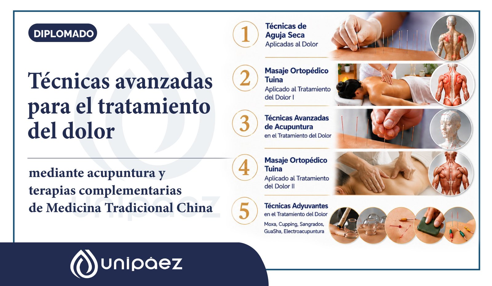 Diplomado en técnicas avanzadas para el tratamiento del dolor mediante acupuntura y terapias complementarias de medicina tradicional china.