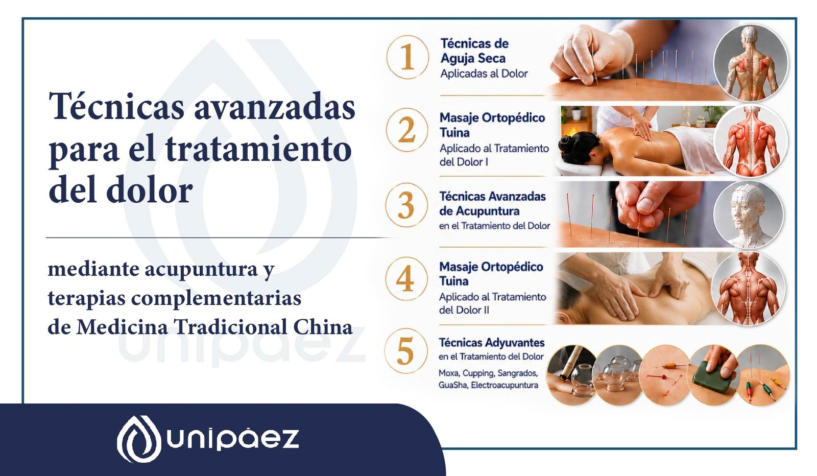 Técnicas Avanzadas para el Tratamiento del Dolor mediante Acupuntura y Terapias Complementarias de Medicina Tradicional China