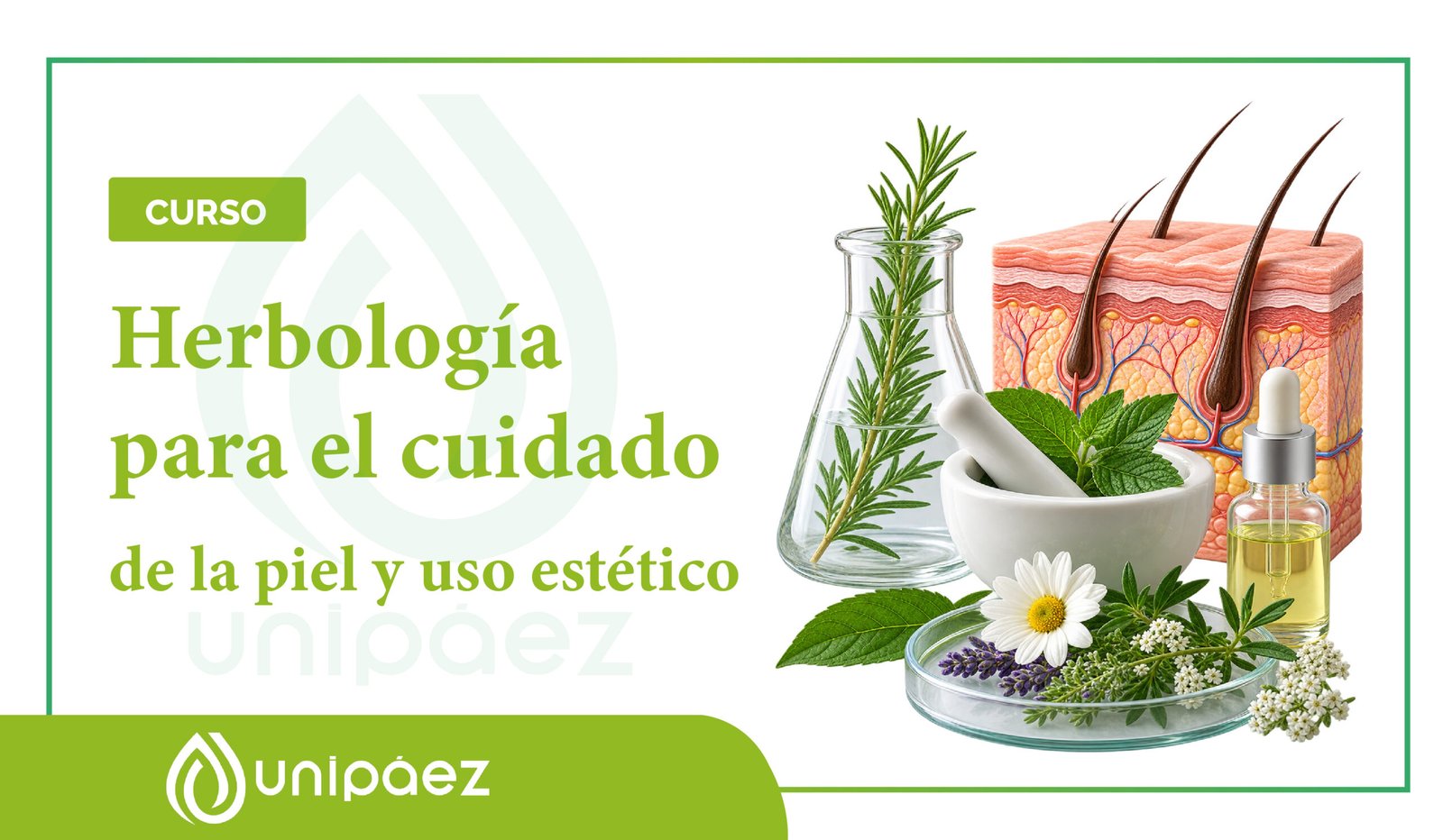 Curso de Herbología para el cuidado de la piel y uso estético
