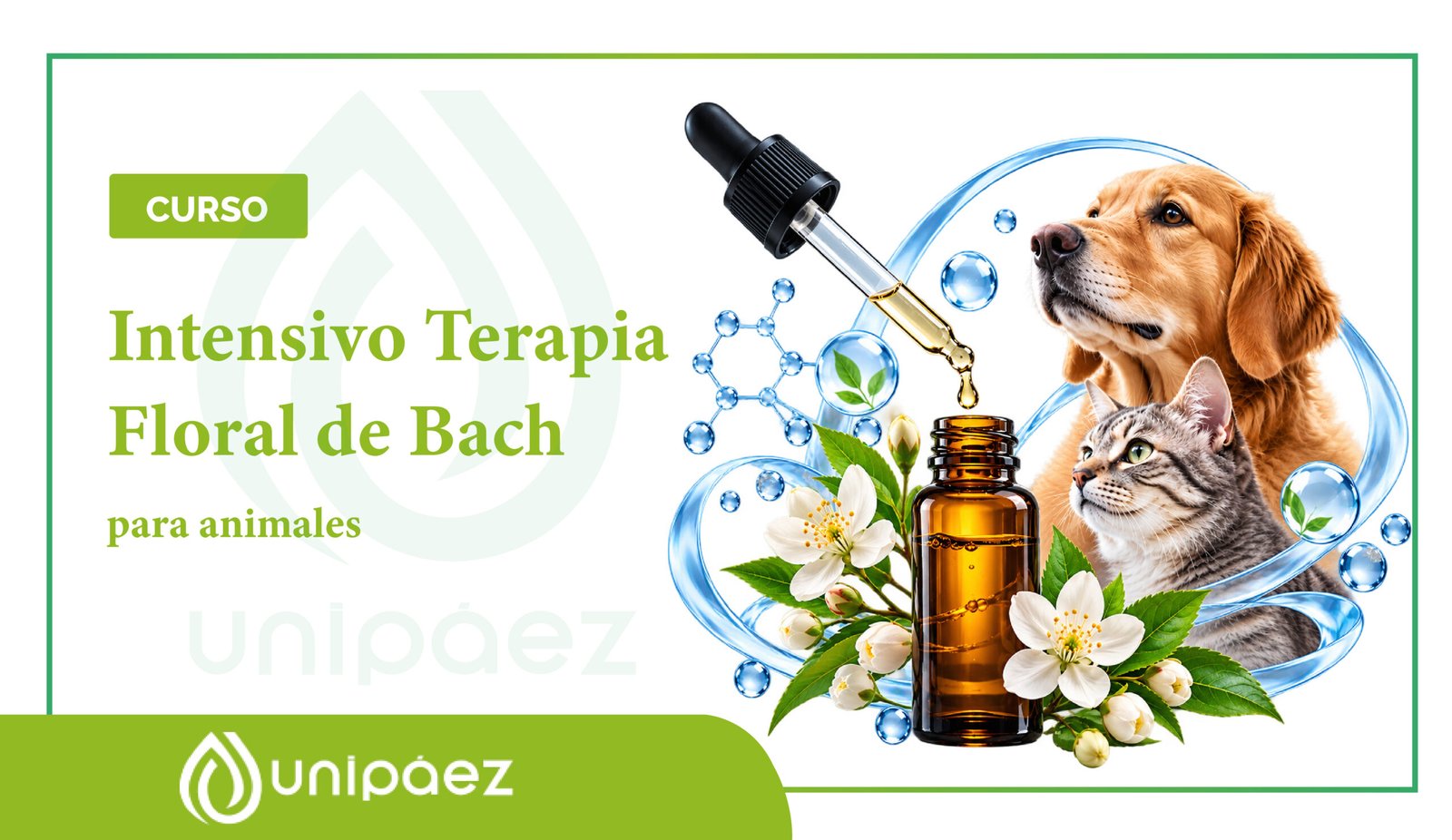Curso intensivo de terapia floral de bach para animales